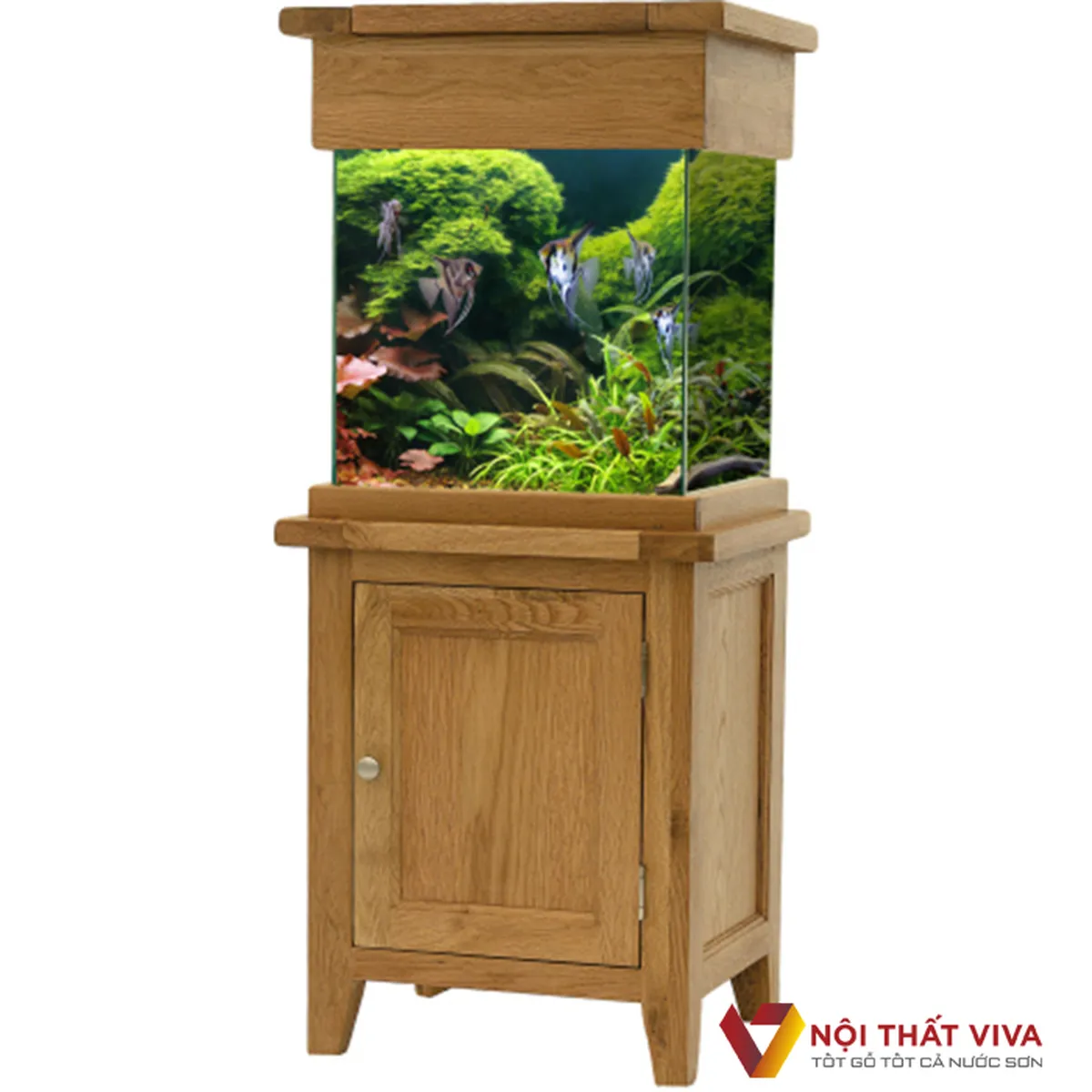 Tủ Bể Cá Tủ Bể Cá