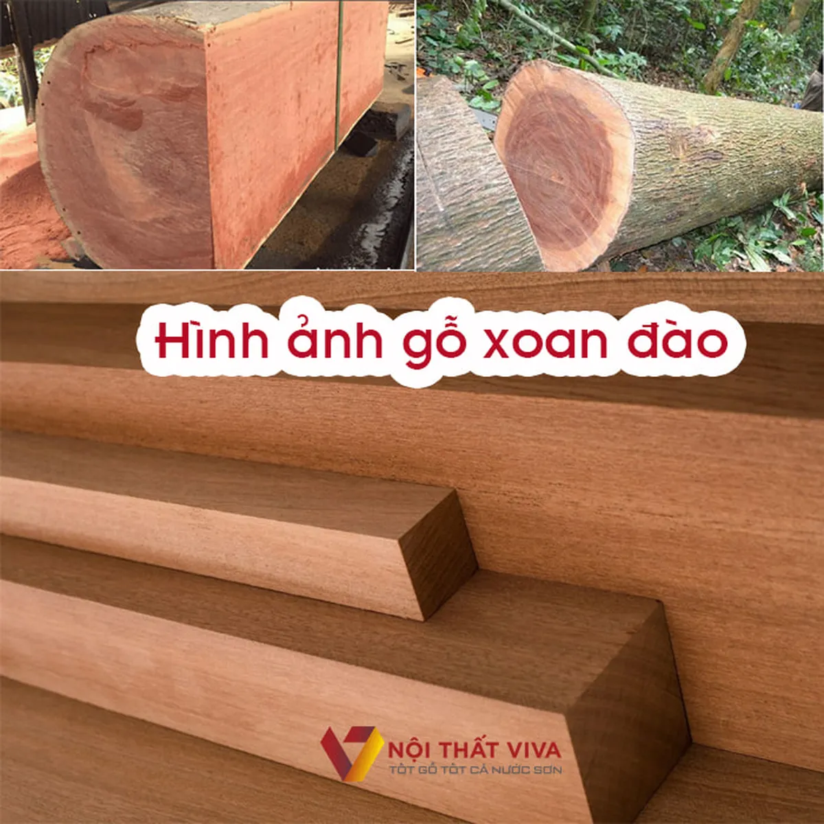 Tủ Đầu Giường Gỗ Xoan Đào Tủ Đầu Giường Gỗ Xoan Đào