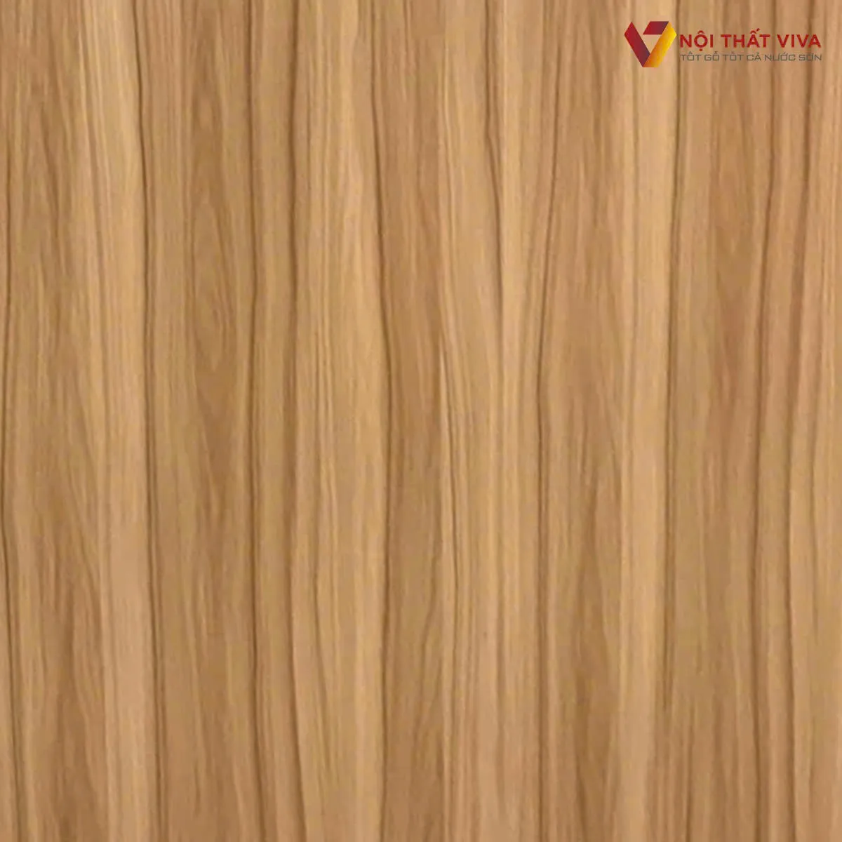 Tủ Hồ Sơ Gỗ Công Nghiệp Tủ Hồ Sơ Gỗ Công Nghiệp