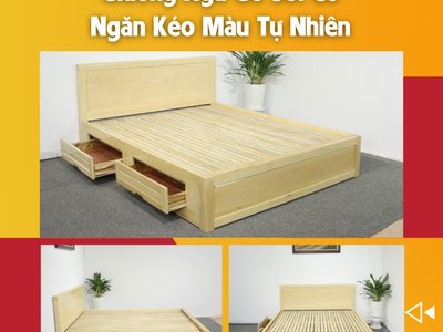 6 mẫu giường ngủ gỗ được ưa chuộng nhất năm 2024