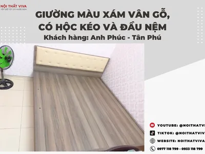 Giường Ngủ Đơn Giản Hiện Đại Tinh Tế Và Tiện Ích Tại Nội Thất Viva