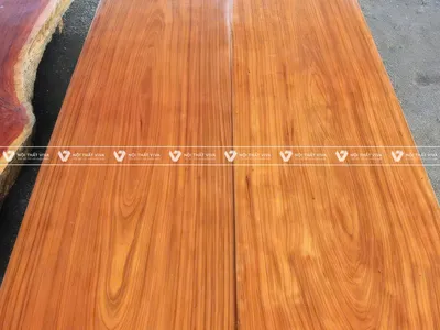 Gỗ gõ đỏ là gì? Từ A đến Z kiến thức về gỗ gõ đỏ  Gỗ gõ đỏ là gì? Từ A đến Z kiến thức về gỗ gõ đỏ