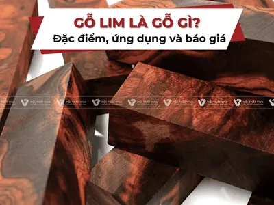 Gỗ lim là gỗ gì? Đặc điểm, ứng dụng và báo giá gỗ lim mới nhất  Gỗ lim là gỗ gì? Đặc điểm, ứng dụng và báo giá gỗ lim mới nhất