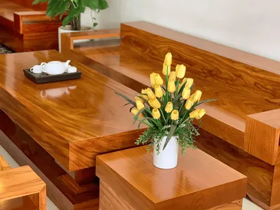 Sofa gỗ tự nhiên nên sử dụng loại gỗ nào? Xếp hạng loại gỗ phổ biến làm sofa hiện nay