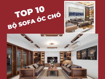 TOP 10 Bộ Sofa Óc Chó Ấn Tượng, Đẳng Cấp, Báo Giá Tốt Không Thể Bỏ Qua