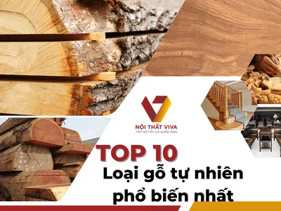 Top 10 loại gỗ tự nhiên phổ biến nhất và ưu, nhược điểm từng loại Top 10 loại gỗ tự nhiên phổ biến nhất và ưu, nhược điểm từng loại