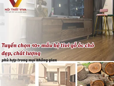 Tuyển chọn 10+ mẫu kệ tivi gỗ óc chó đẹp, chất lượng, phù hợp trong mọi không gian Tuyển chọn 10+ mẫu kệ tivi gỗ óc chó đẹp, chất lượng, phù hợp trong mọi không gian