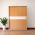 Tủ Quần Áo 2 Cánh Lùa Gỗ Công Nghiệp MDF Melamine