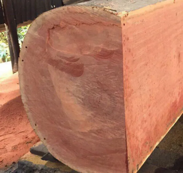 Tìm hiểu các loại gỗ tự nhiên dùng trong nội thất gỗ tự nhiên phổ biến hiện nay