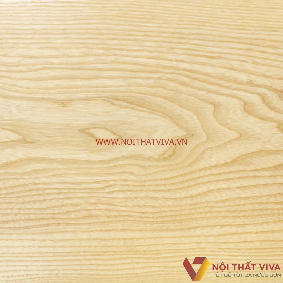 Làm thế nào để gia tăng độ bền cho bộ ghế sofa gỗ Sồi?