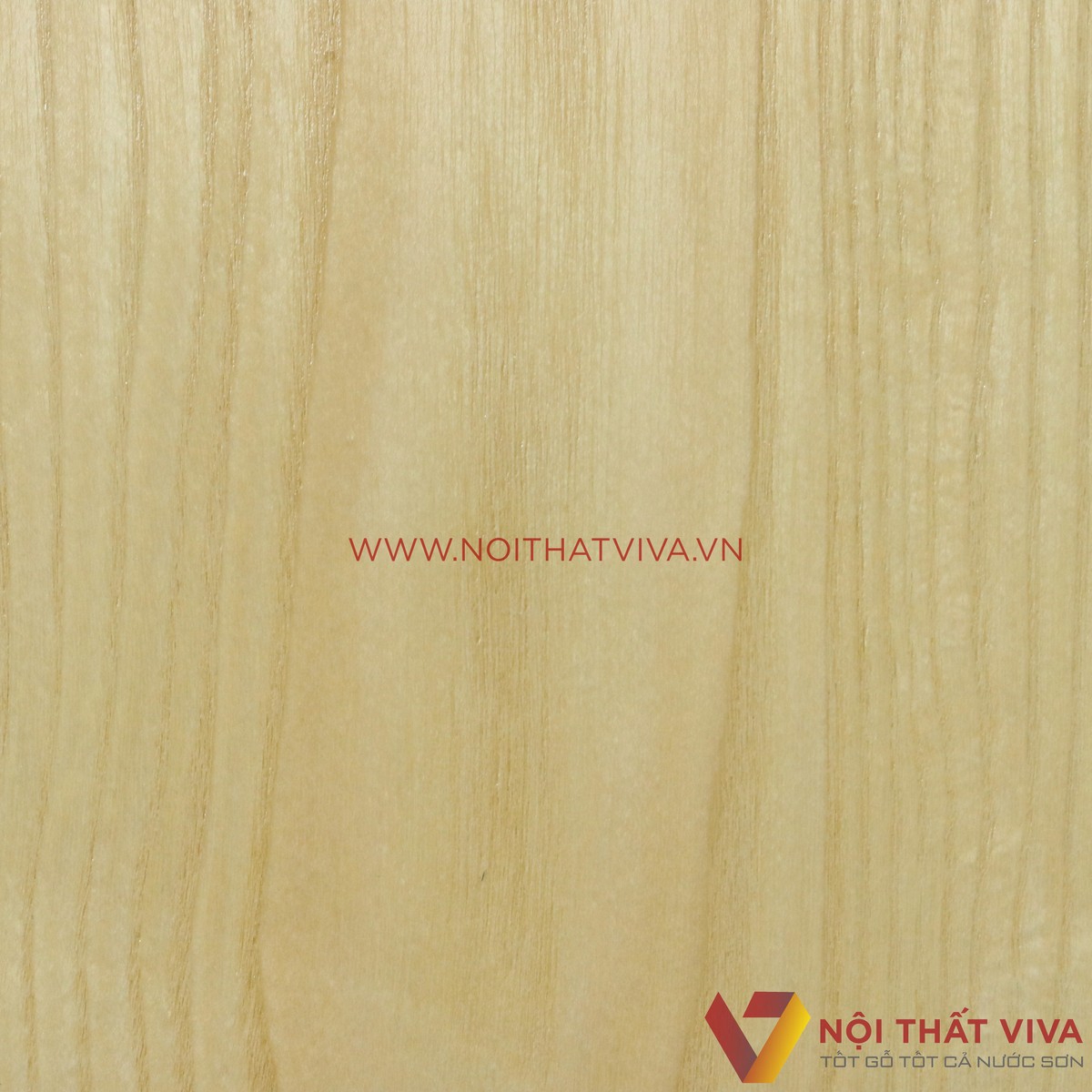 Những điều cần biết trước khi mua tủ quần áo gỗ Sồi 2 cánh