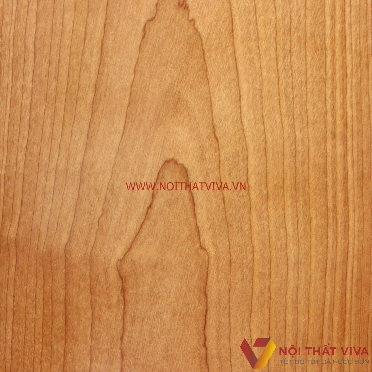 tủ áo 2 cánh gỗ Xoan tủ áo 2 cánh gỗ Xoan