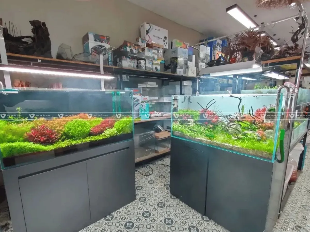 Tủ Bể Cá