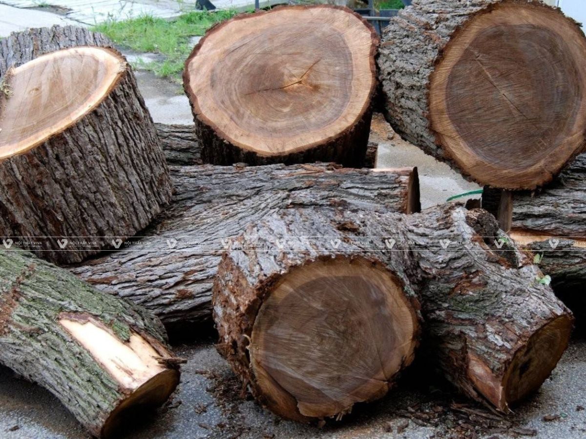 Tuyển chọn 10+ mẫu kệ tivi gỗ óc chó đẹp, chất lượng, phù hợp trong mọi không gian