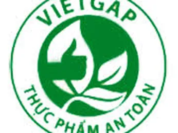 46,8% diện tích gieo trồng rau đạt VietGAP