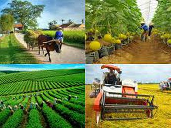 Tạo động lực mới cho kinh tế nông nghiệp