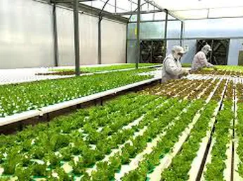 Nông nghiệp phát triển bền vững theo hướng công nghệ cao