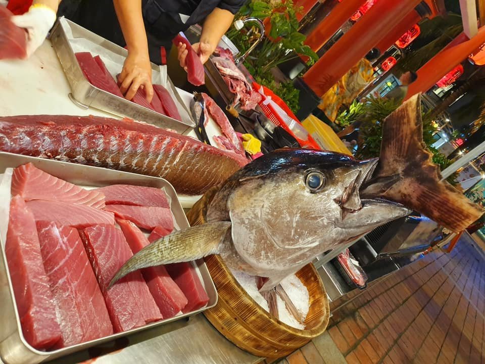 Cá Ngừ Đại Dương Phú Yên 
