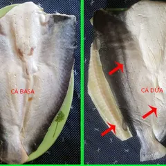 Cách Phân Biệt Cá Dứa Và Cá Basa