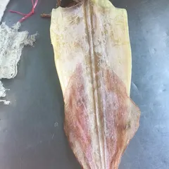 Mua mực khô ngon ở đâu Sài Gòn