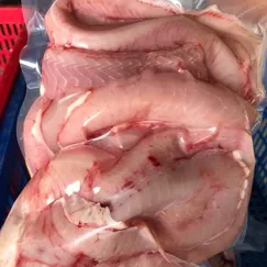 Cá Ninja (Cá Chình Bọc) Món Nhậu Hấp Dẫn