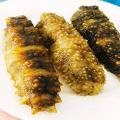 Hải Sâm Gai