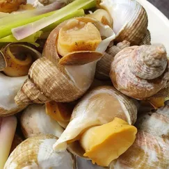 Ốc Bulot Pháp Loại 1