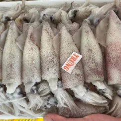 Mực Trứng Tươi 100% Trứng