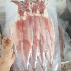 Mực Dẻo Hai Nắng Cao Cấp