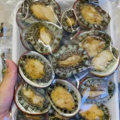 Bào Ngư Cam Ranh, Tươi Ngon, Giòn, Ngọt