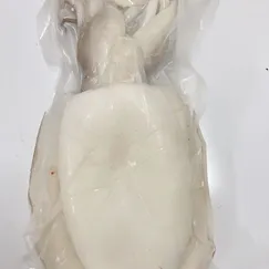 Mực Nang Khổng Lồ Tươi Ngon