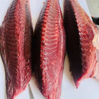 Cá Ngừ Đại Dương Tươi Phú Yên 