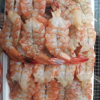 Tôm Một Nắng Phú Yên 