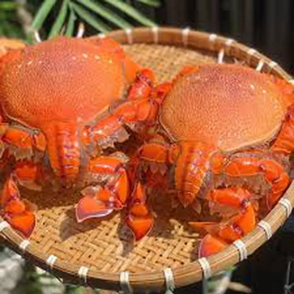 Cua Huỳnh Đế Sống Cao Cấp