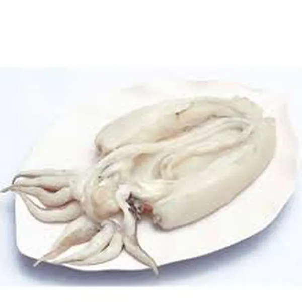 Mực Nang Khổng Lồ Tươi Ngon 
