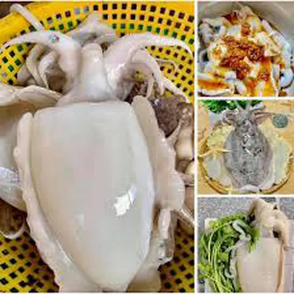 Mực Nang Khổng Lồ Tươi Ngon 