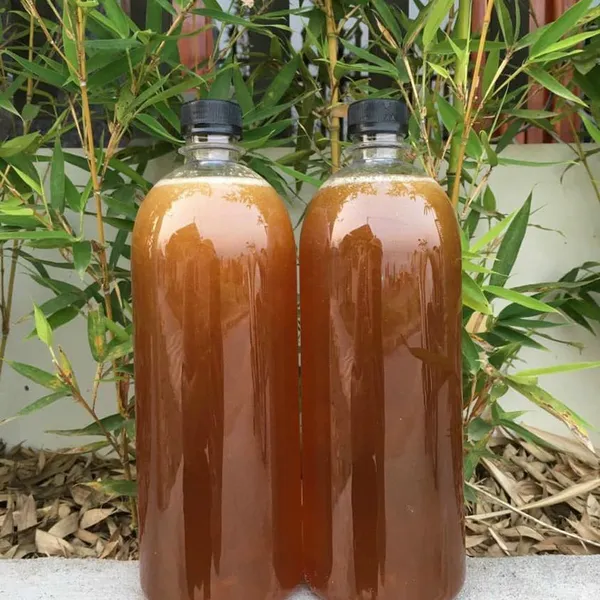 Mật Ong Khoái Nguyên Chất - Chuẩn Mật Ong Rừng