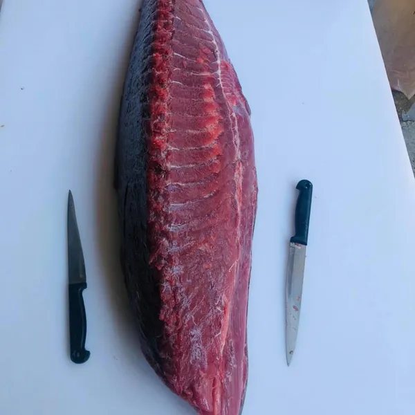 Cá Ngừ Đại Dương Tươi Phú Yên 