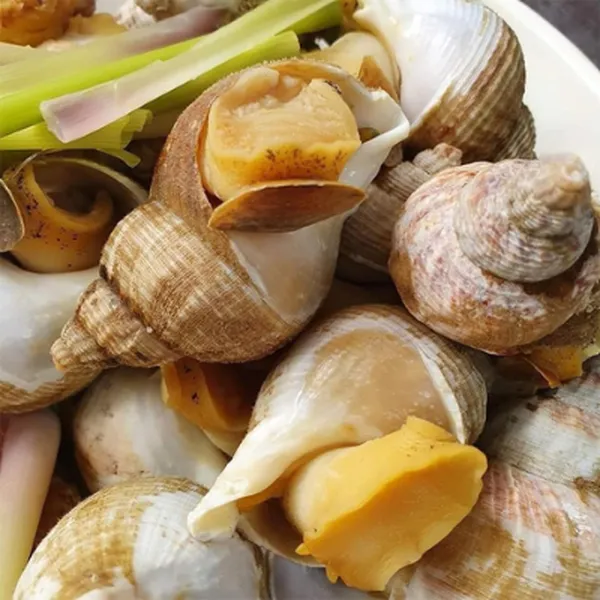 Ốc Bulot Pháp Loại 1 