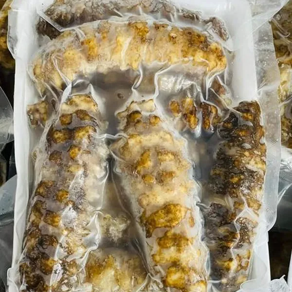 Hải Sâm Tươi Bổ Dưỡng 