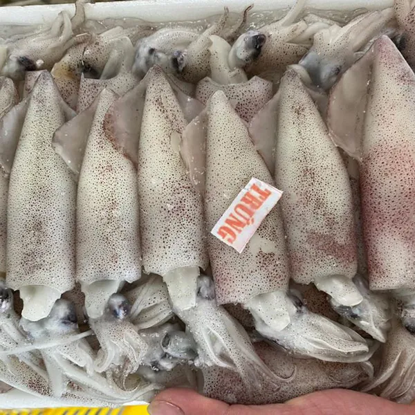 Mực Trứng Tươi 100% Trứng 
