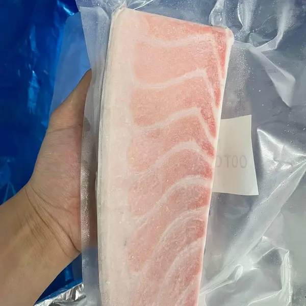 Otoro Cá Ngừ Đại dương