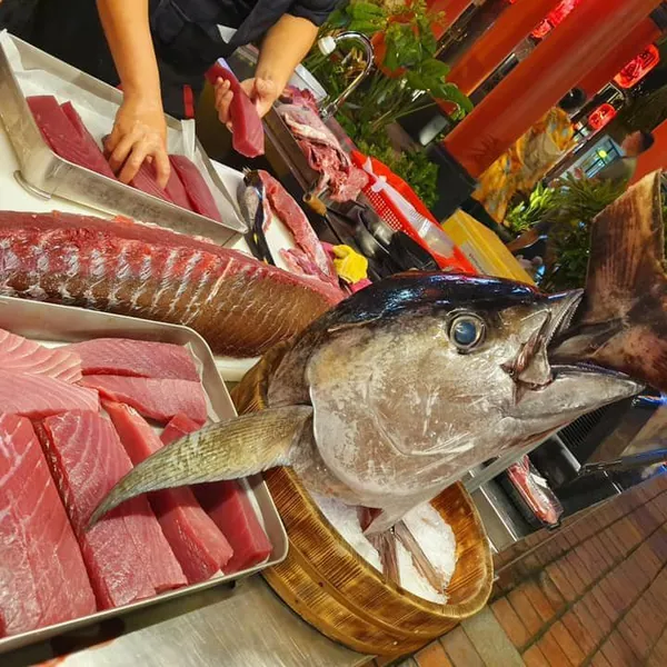 Cá Ngừ Đại Dương Tươi Phú Yên 