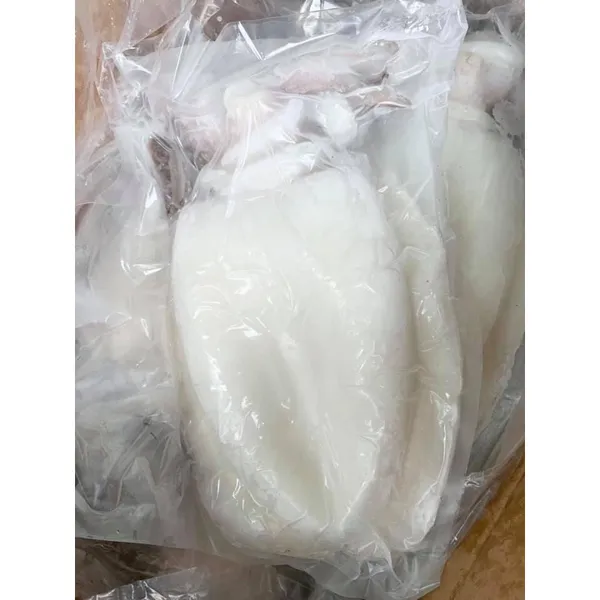 Mực Nang Khổng Lồ Tươi Ngon 