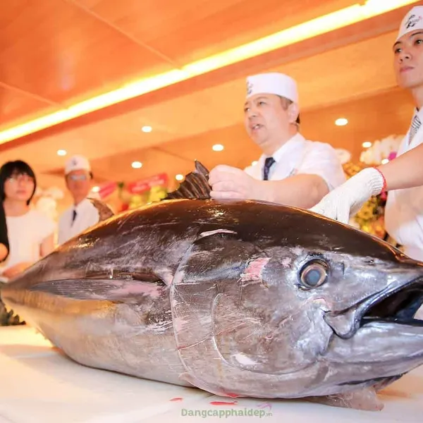 Cá Ngừ Đông Lạnh