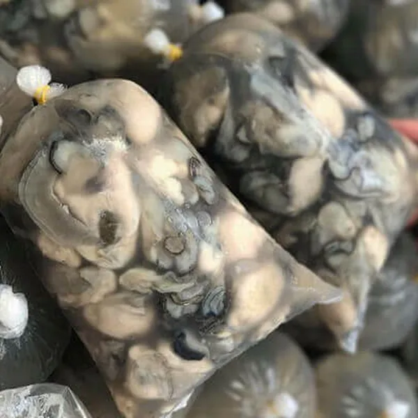 Ruột Hàu Sữa Pháp