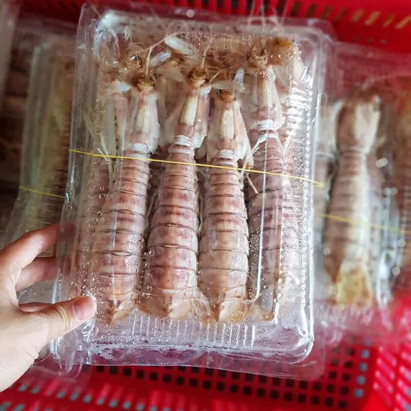 Tôm Tít Nguyên Vỏ (15-20 con)