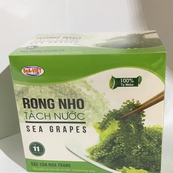 Rong Nho Biển Nha Trang