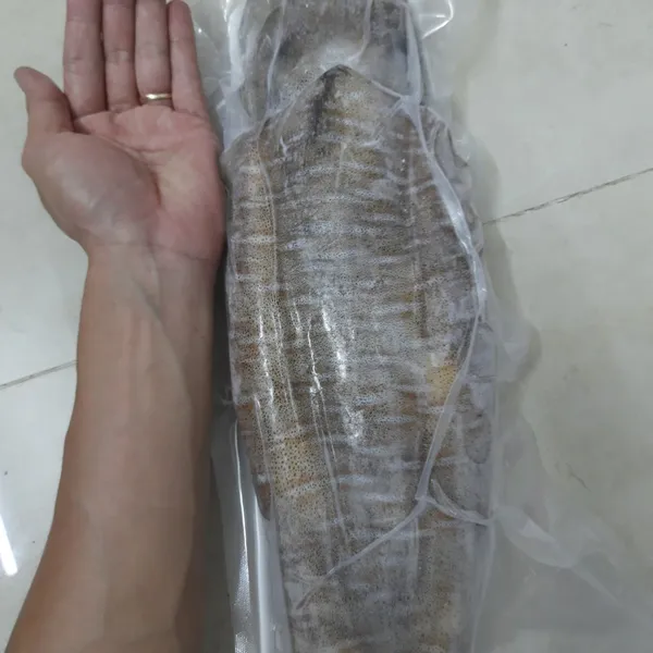 MỰC LÁ CÂU