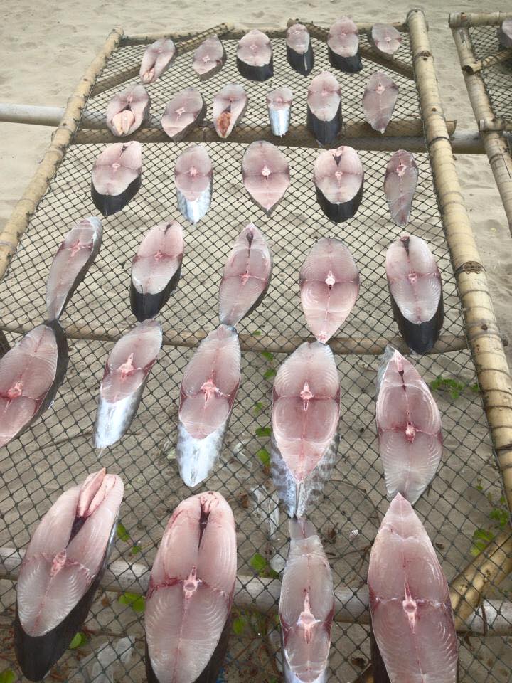 Cá thu 1 nắng phơi 13240169_1742980242646356_6450150364444611389_n.jpg (131 KB)